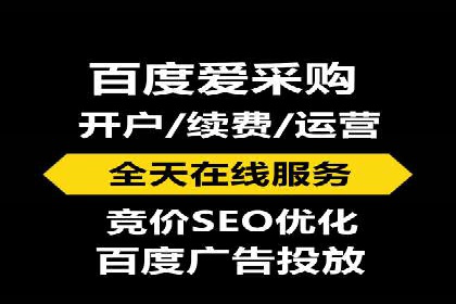 SEM投放策略优化案例分析